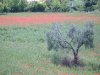 DSCN1476
